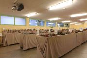 Concorso Picchiatelli premiazioni (2 di 85)